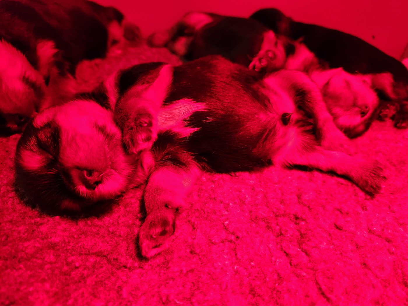 Underyour'Star - Les premiers bébés 2026